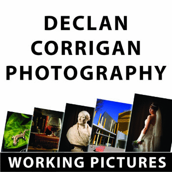 Working Pictures Logo
