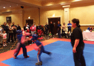 WKC - Irish National Eliminations 2013