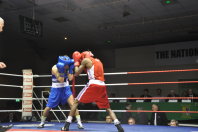 Ireland beat France Elites